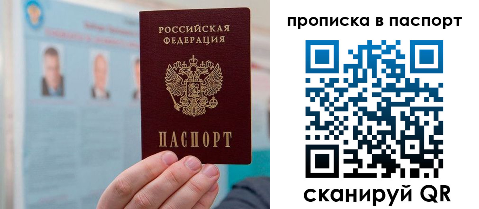 прописка гарантия в Волгограде